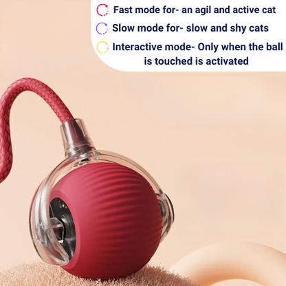 Motion-Sensor Cat Ball for Endless Fun