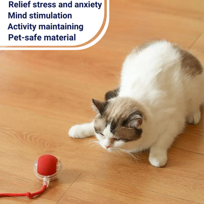 Motion-Sensor Cat Ball for Endless Fun