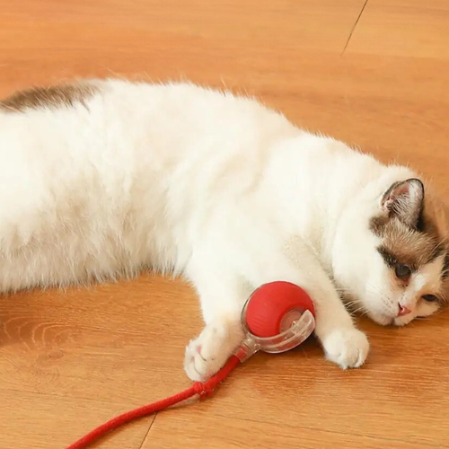 Motion-Sensor Cat Ball for Endless Fun