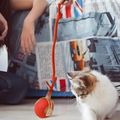 Motion-Sensor Cat Ball for Endless Fun